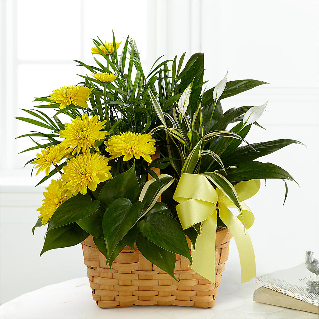Loving Light Dishgarden – Laurie Clark Designs, Thamesville ON