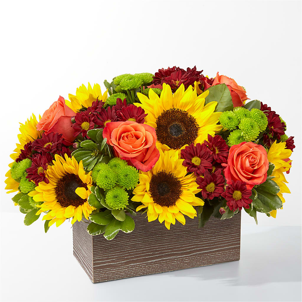 Happy Harvest Garden – Laurie Clark Designs, Thamesville ON