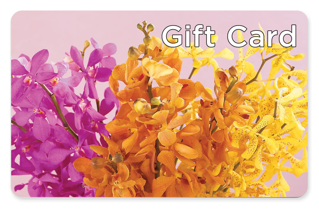 Gift Card – Laurie Clark Designs, Thamesville ON