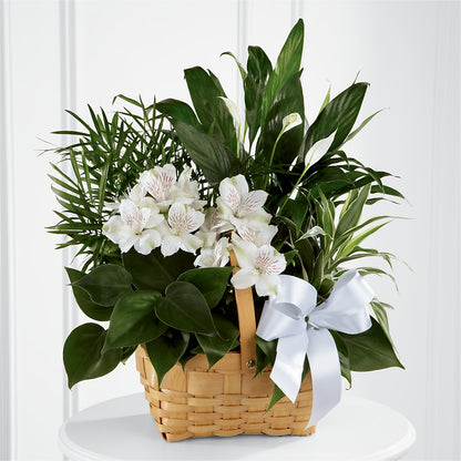 Peace & Serenity Dishgarden –  Laurie Clark Designs, Thamesville ON