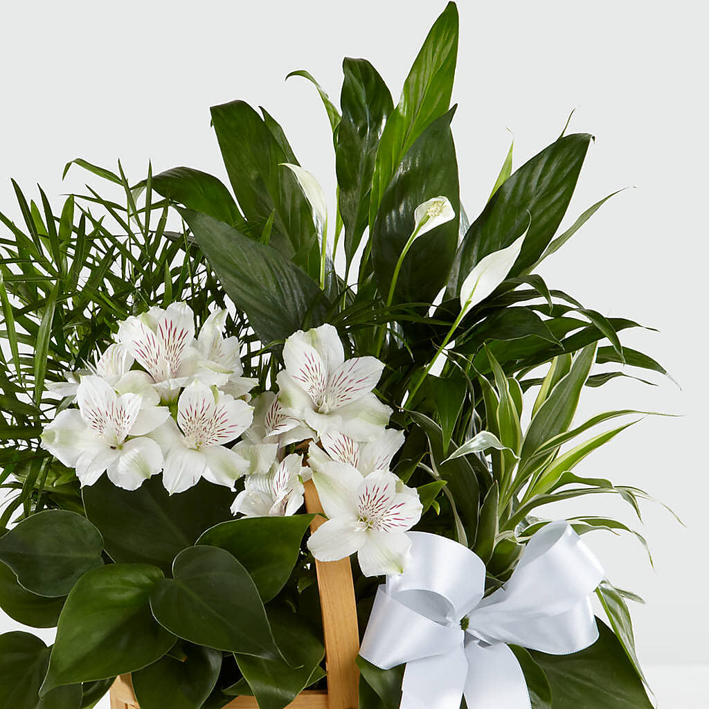 Peace & Serenity Dishgarden –  Laurie Clark Designs, Thamesville ON