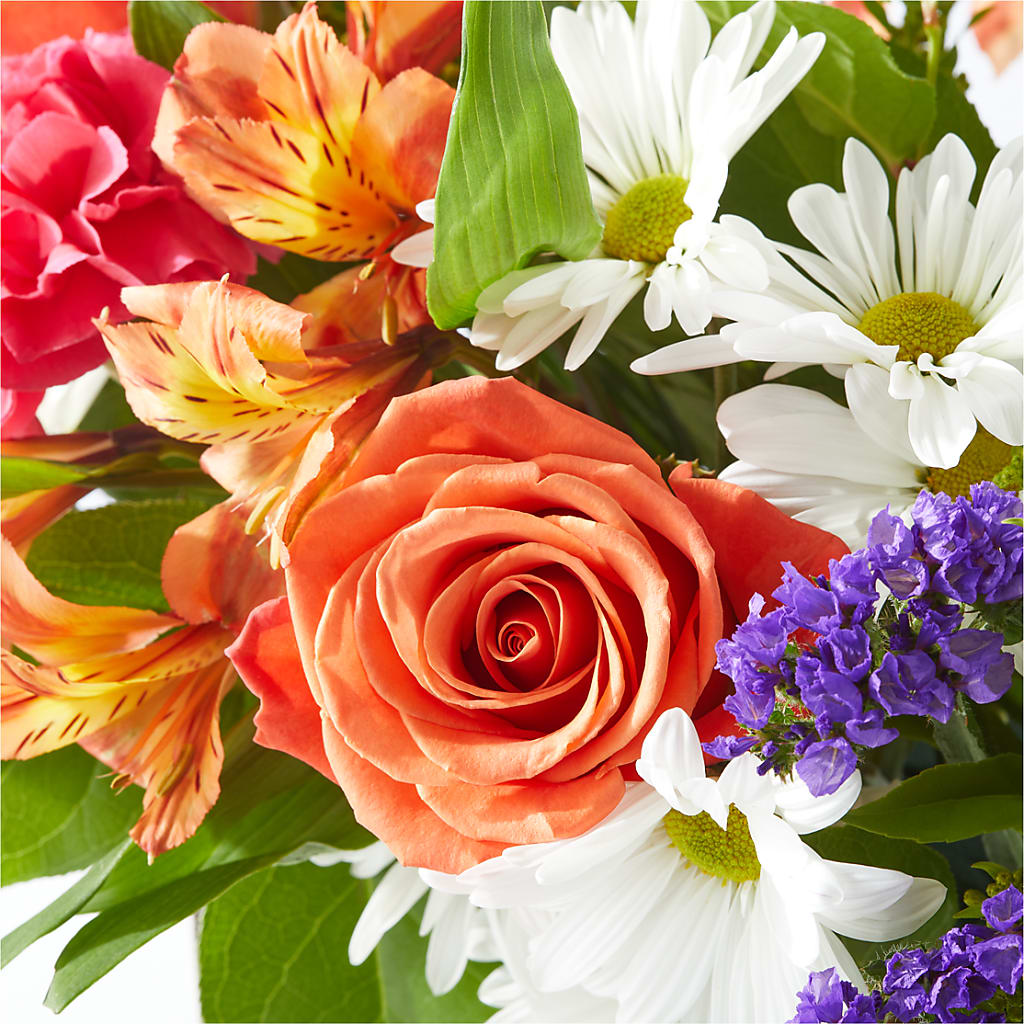 Oopsie Daisy Box Bouquet –  Laurie Clark Designs, Thamesville ON