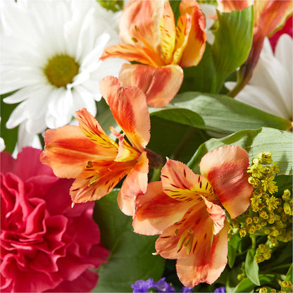 Oopsie Daisy Box Bouquet –  Laurie Clark Designs, Thamesville ON