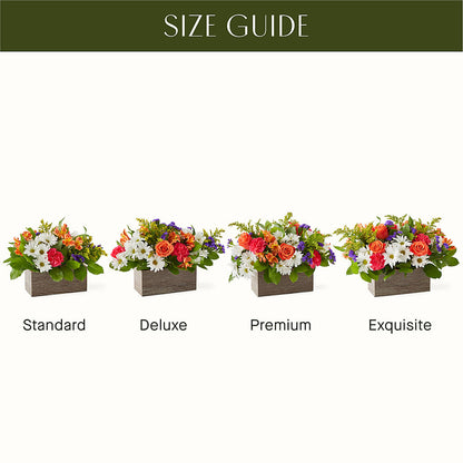 Oopsie Daisy Box Bouquet –  Laurie Clark Designs, Thamesville ON