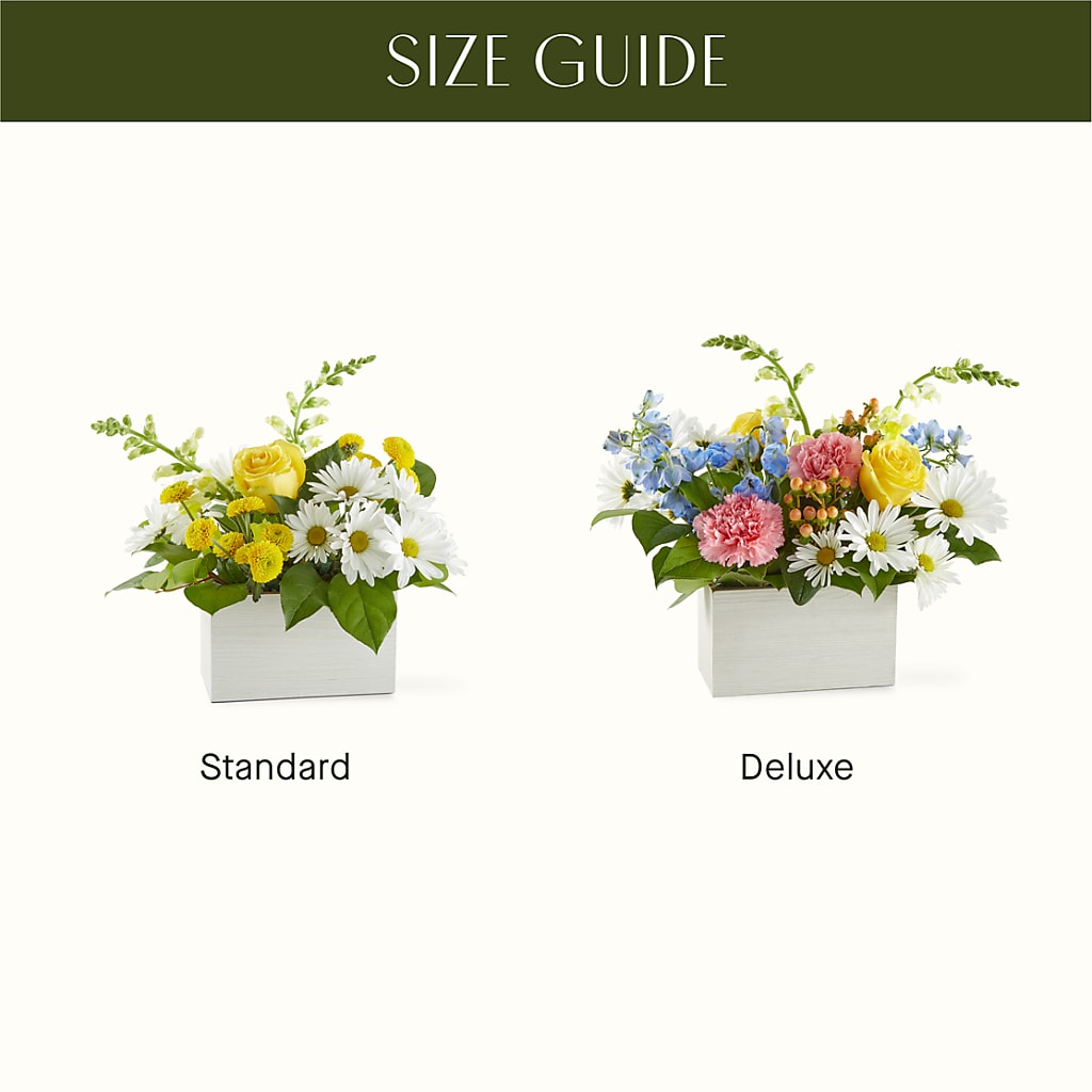 Sun Salutation Box Bouquet –  Laurie Clark Designs, Thamesville ON