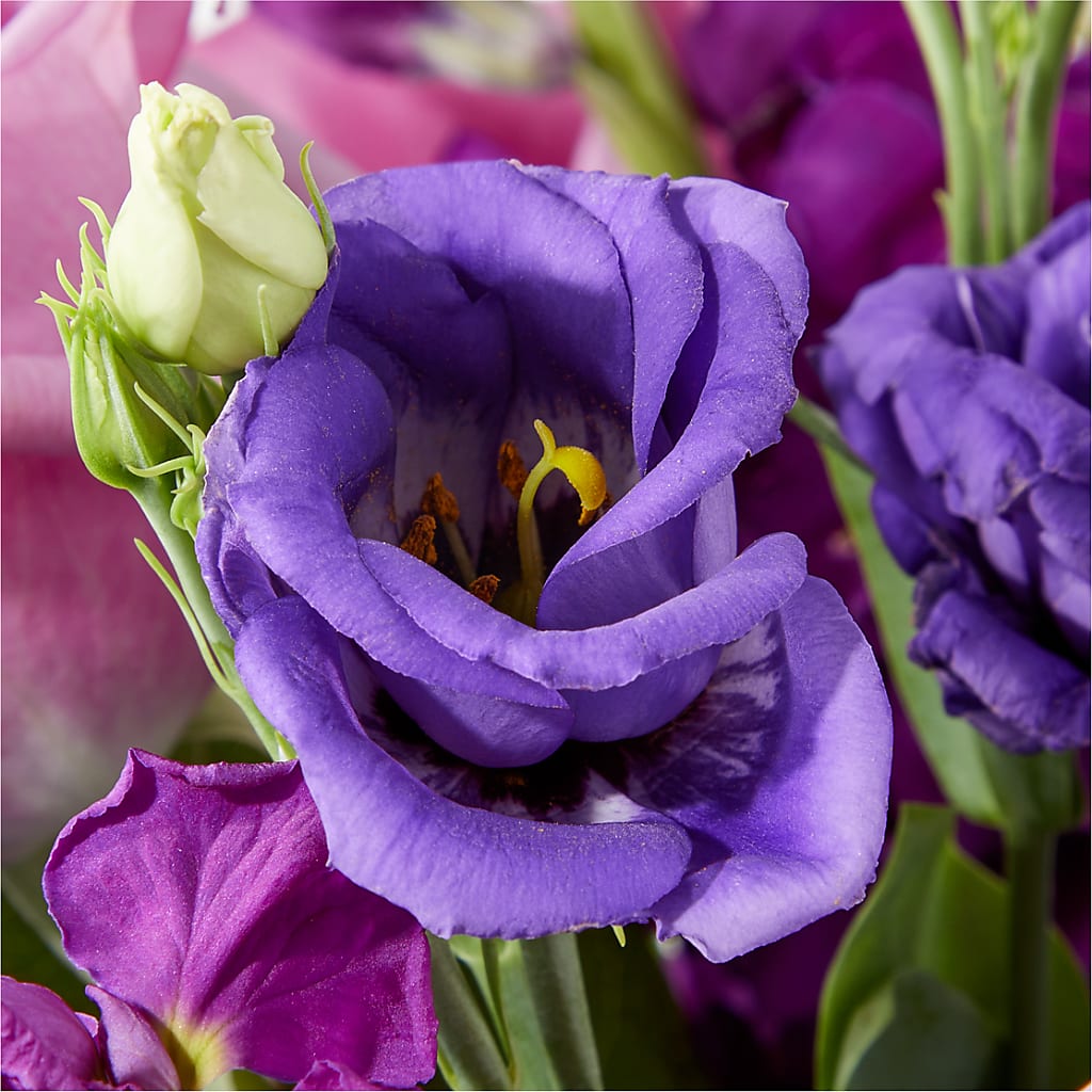 Twilight Glow Bouquet –  Laurie Clark Designs, Thamesville ON