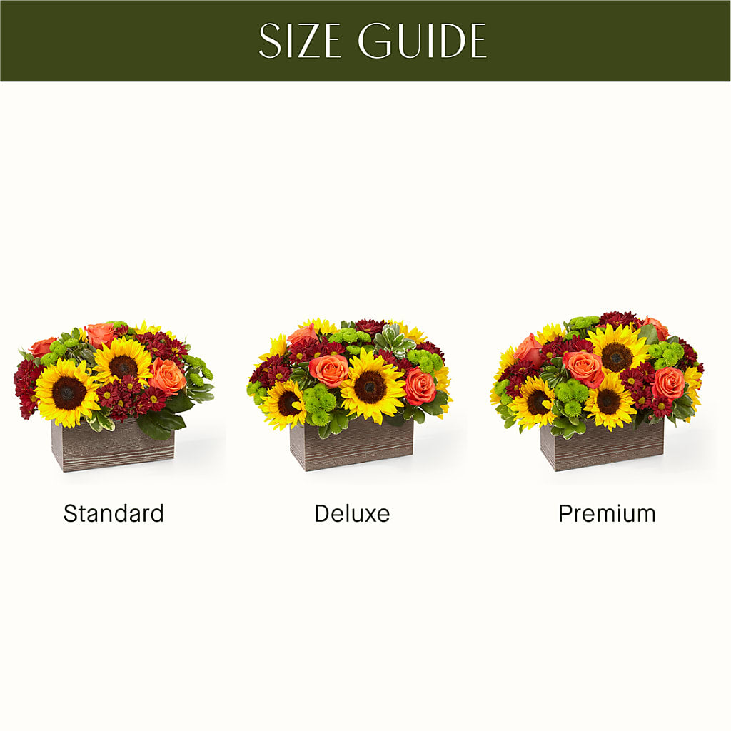 Happy Harvest Garden –  Laurie Clark Designs, Thamesville ON