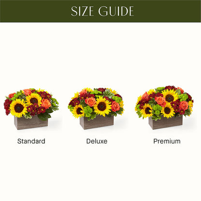 Happy Harvest Garden –  Laurie Clark Designs, Thamesville ON
