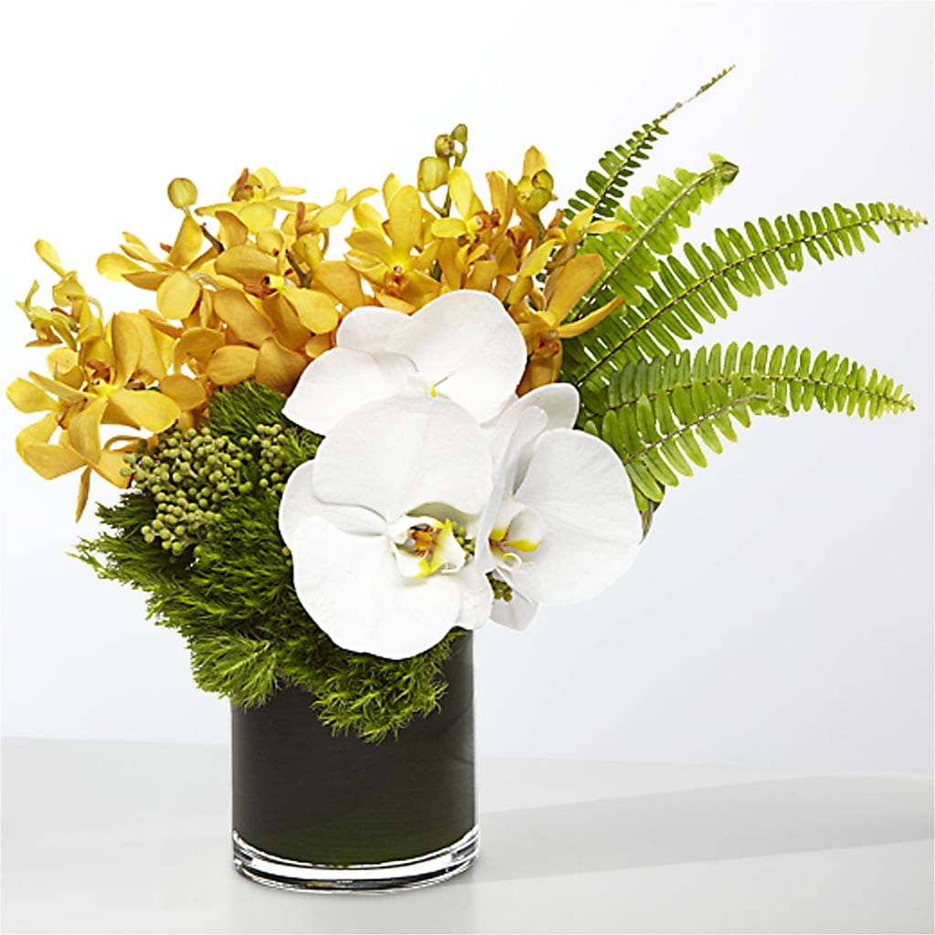 The Tropics –  Laurie Clark Designs, Thamesville ON