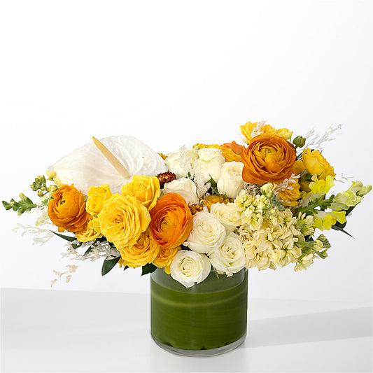 The Optimist –  Laurie Clark Designs, Thamesville ON