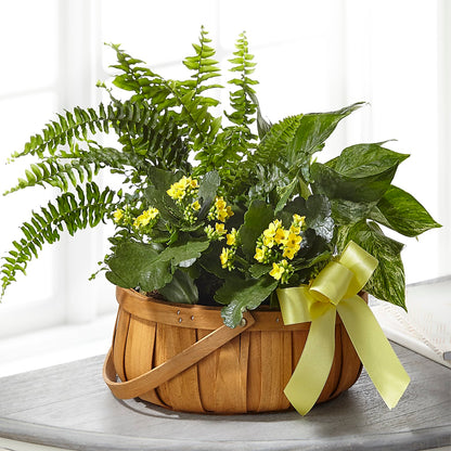 Always Dear Dishgarden –  Laurie Clark Designs, Thamesville ON