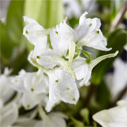 Classic Ivory – A Florist Original –  Laurie Clark Designs, Thamesville ON