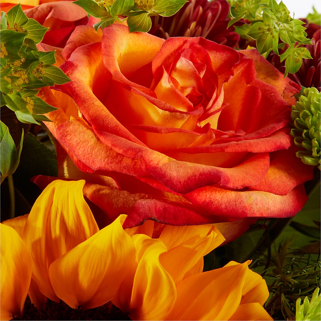 Harvest Festival Bouquet –  Laurie Clark Designs, Thamesville ON