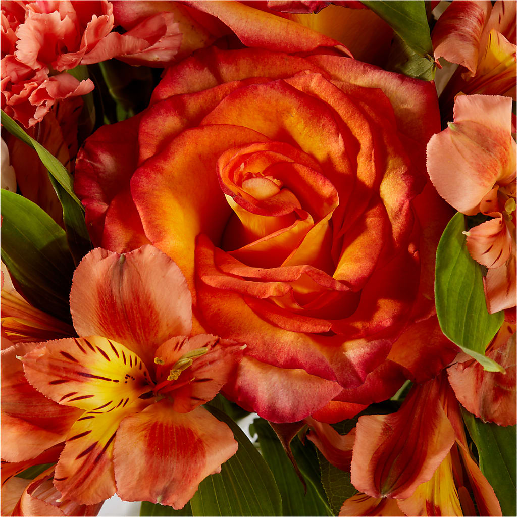 Apricot Glow Bouquet –  Laurie Clark Designs, Thamesville ON