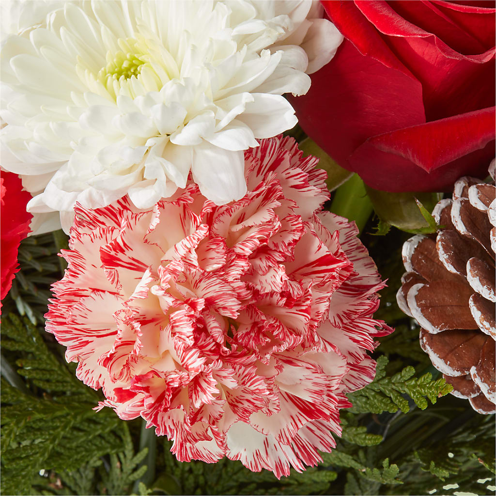 Candy Cane Lane Bouquet –  Laurie Clark Designs, Thamesville ON