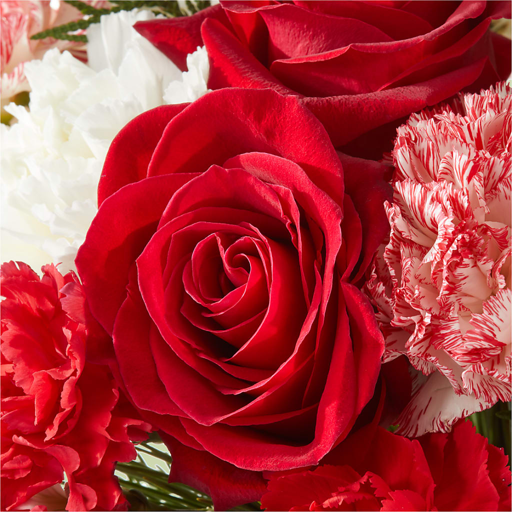 Candy Cane Lane Bouquet –  Laurie Clark Designs, Thamesville ON