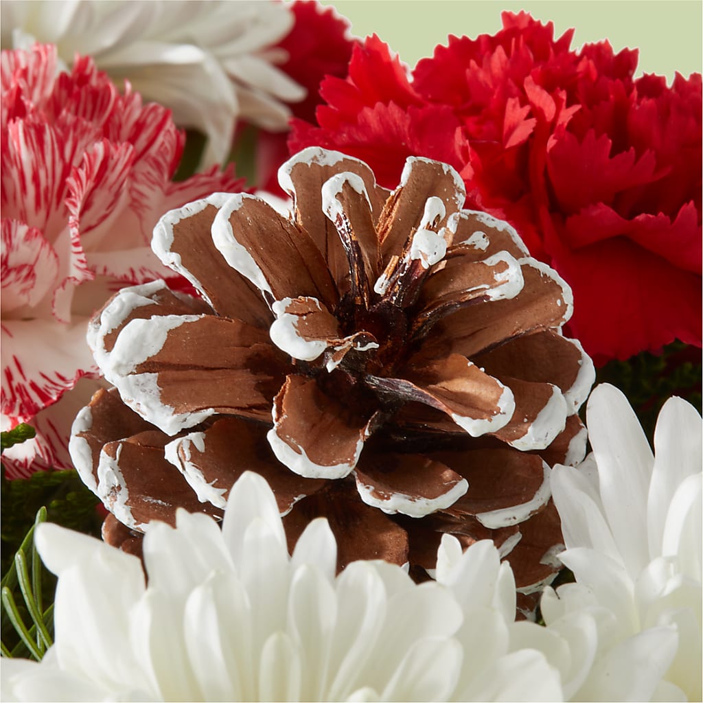 Candy Cane Lane Bouquet –  Laurie Clark Designs, Thamesville ON