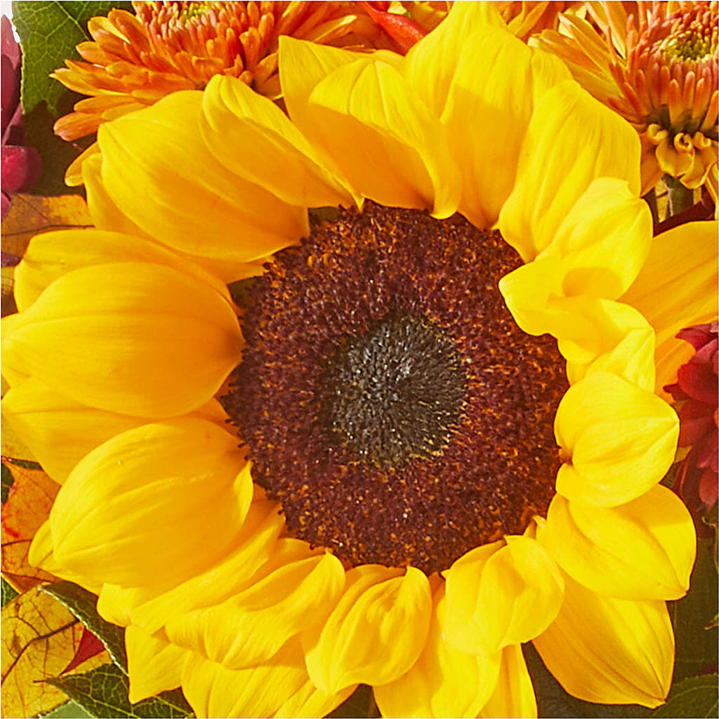 Sunny Side Bouquet –  Laurie Clark Designs, Thamesville ON