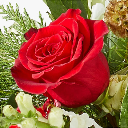 Deck the Halls Bouquet –  Laurie Clark Designs, Thamesville ON