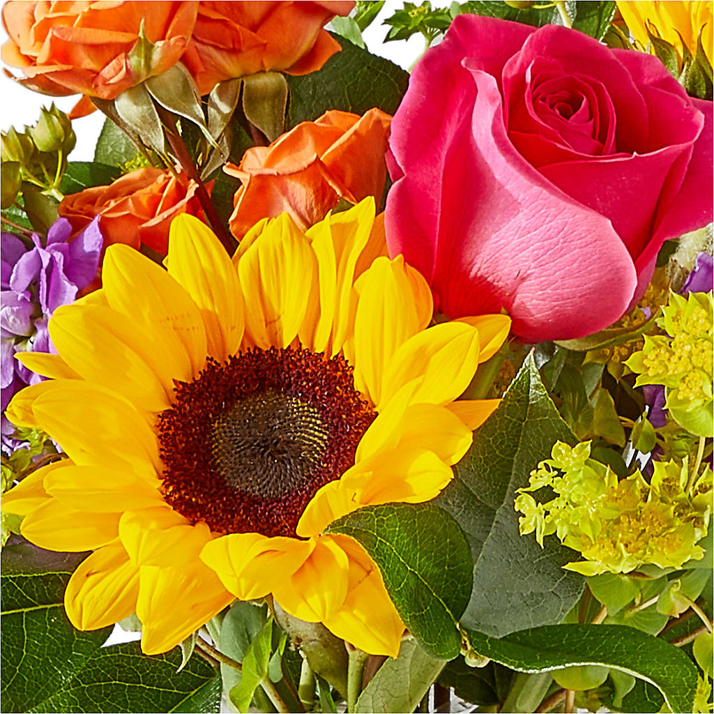 Vibrant Greetings Bouquet –  Laurie Clark Designs, Thamesville ON