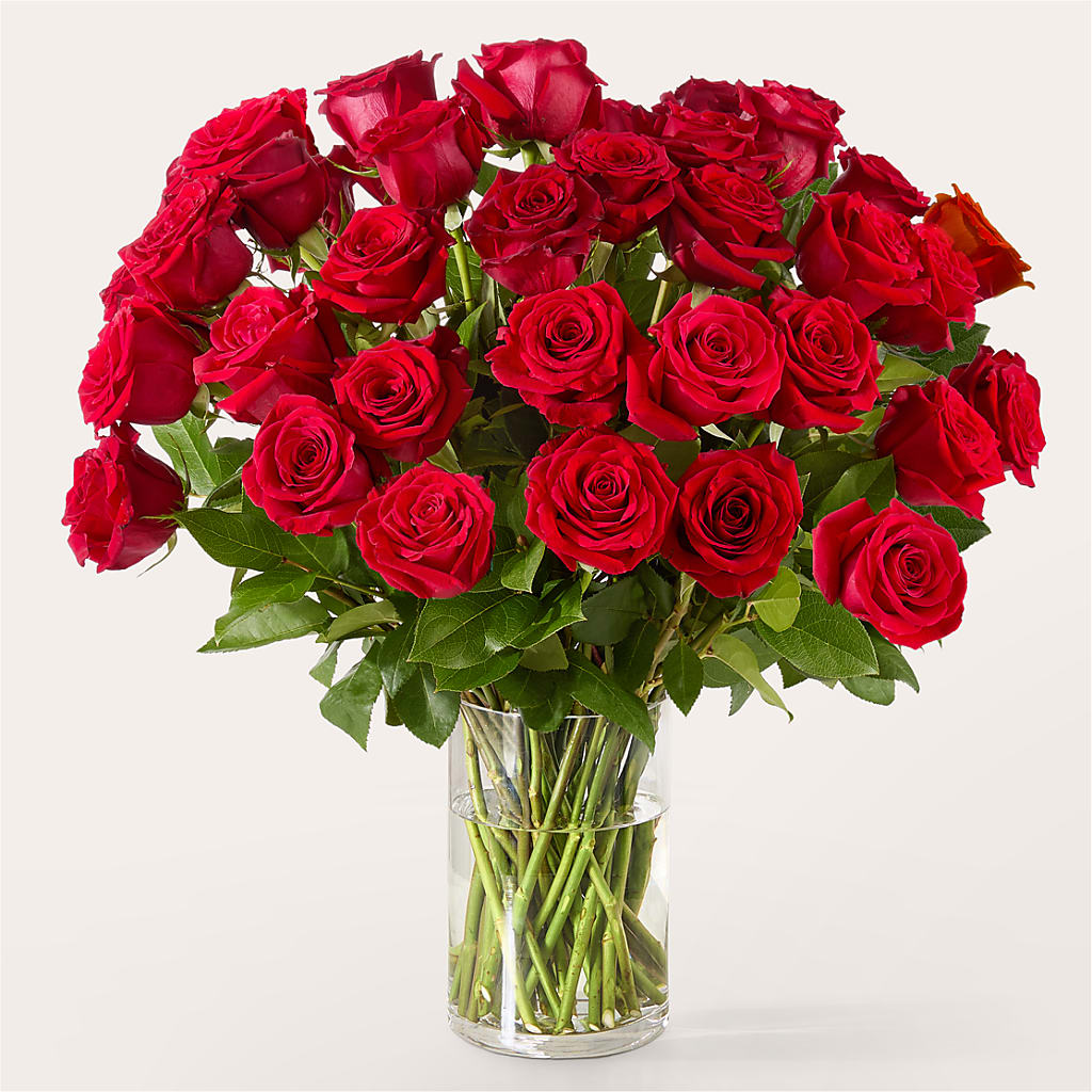 The One Red Rose Bouquet –  Laurie Clark Designs, Thamesville ON