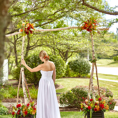 Arbor of Love Archway –  Laurie Clark Designs, Thamesville ON